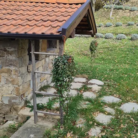 Tana Della Lavanda Montefiorino Exterior photo