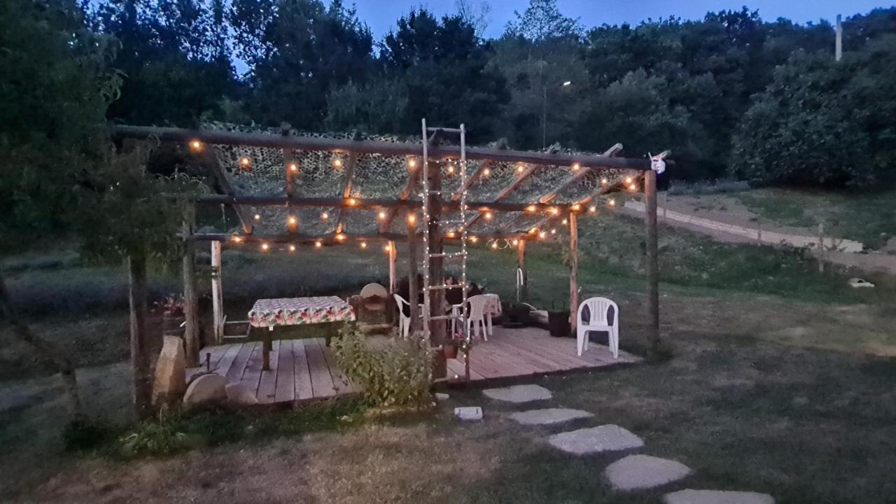 Tana Della Lavanda * Montefiorino