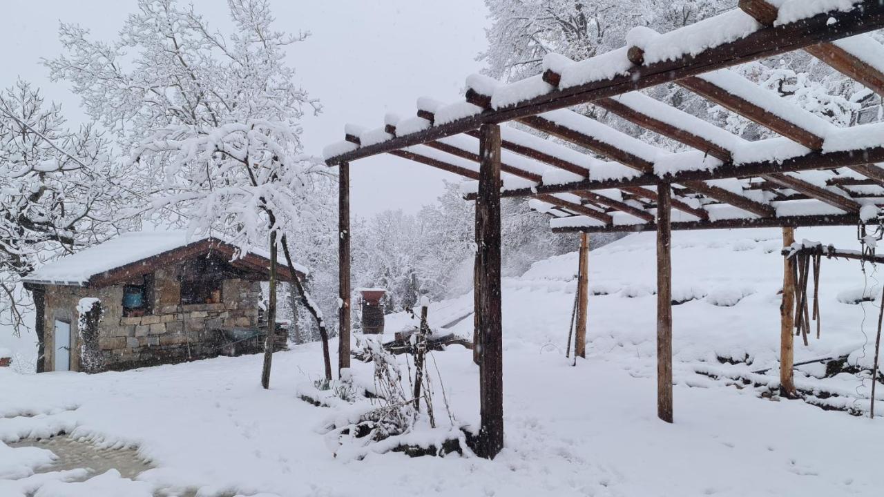 Tana Della Lavanda Holiday home