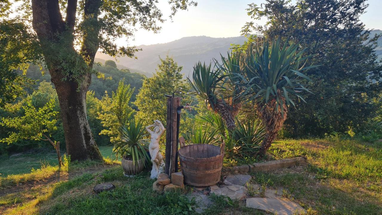 Tana Della Lavanda Holiday home Montefiorino