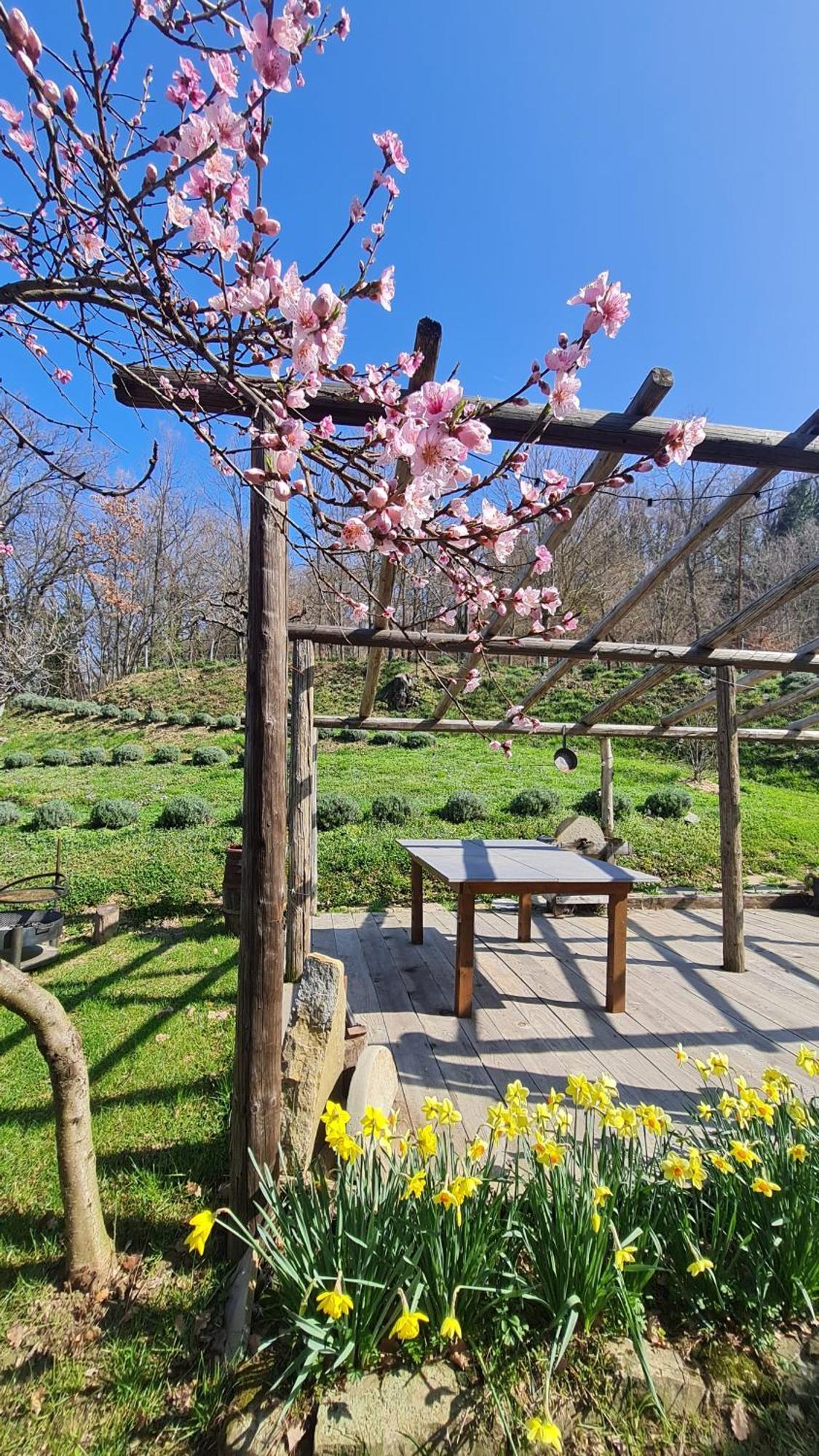 Tana Della Lavanda Holiday home
